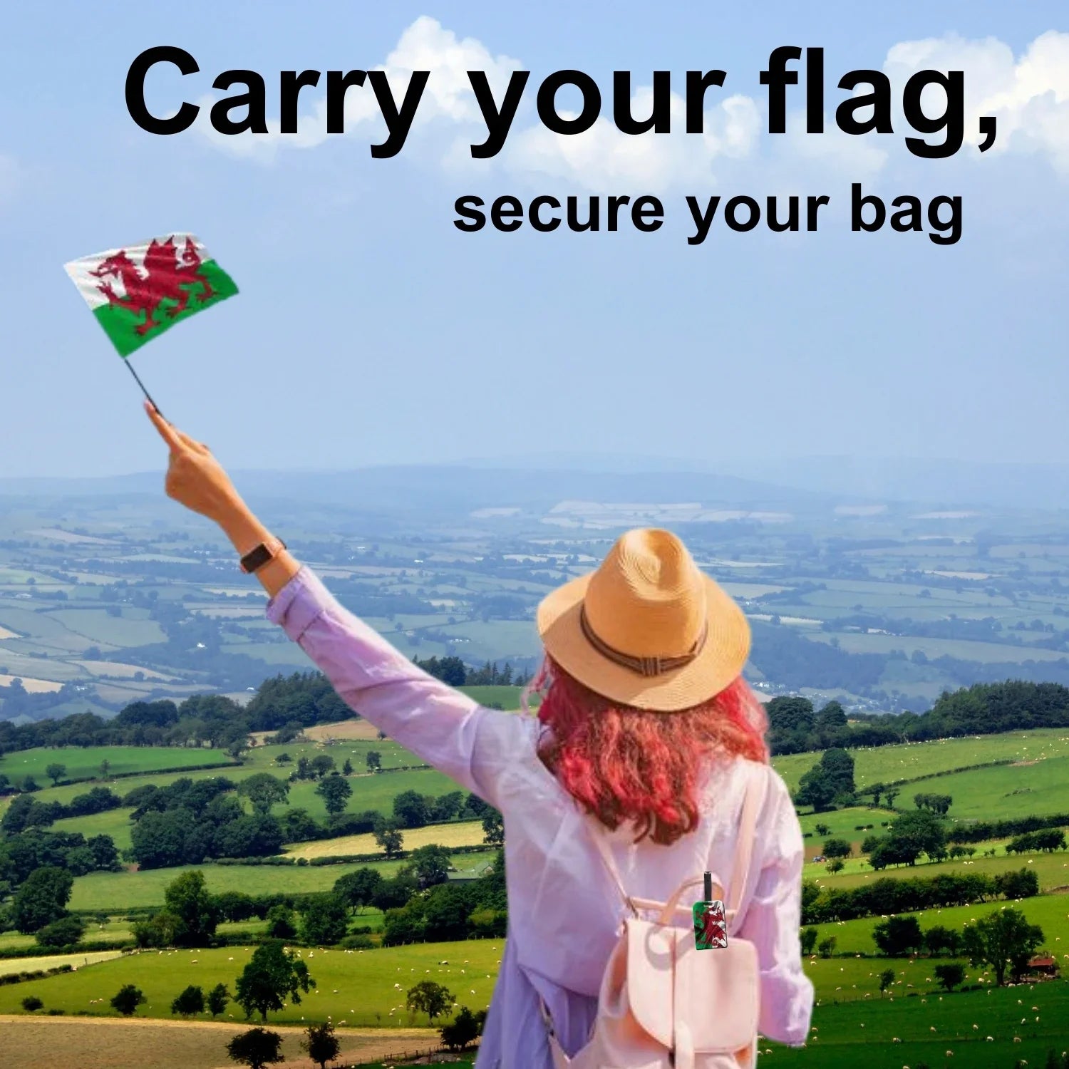 Smart Bag Security Tag - Wales Flag [Pack 2]